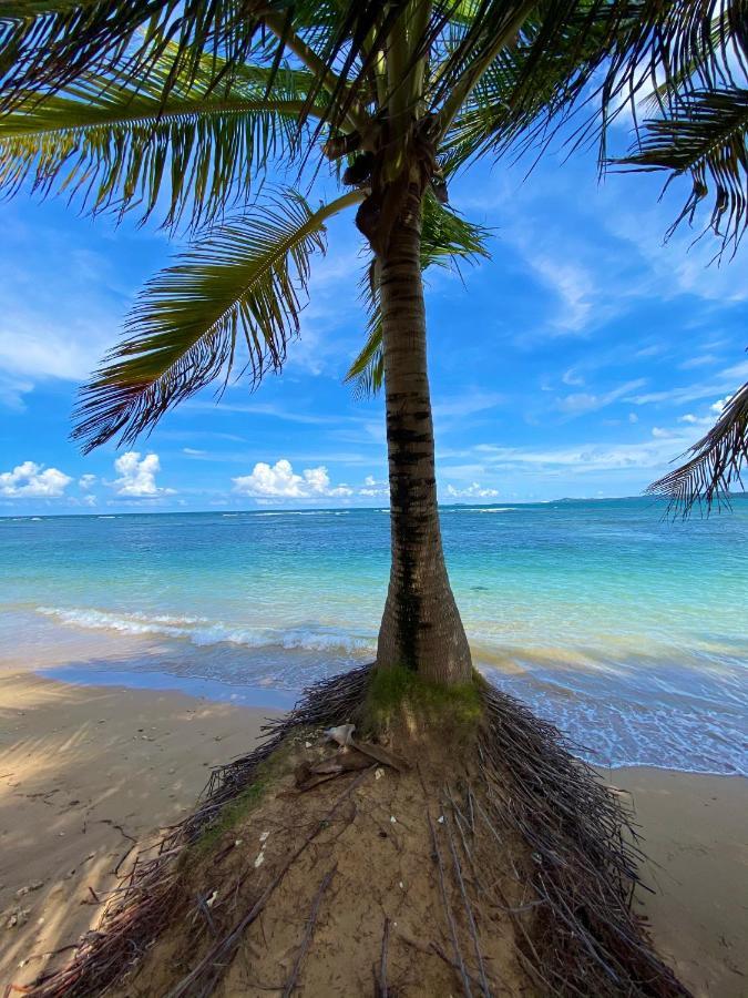 Cozy Beach Apartment Luquillo Luaran gambar